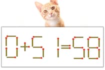 【マッチ棒パズル】正しい式にしよう！「0+51=58」【毎日脳トレ】