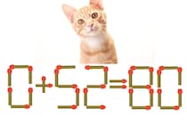 【マッチ棒パズル】正しい式にしよう！「0+52=80」【毎日脳トレ】