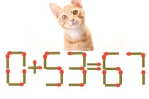 【マッチ棒パズル】正しい式にしよう！「0+53=67」【毎日脳トレ】