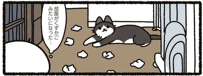 猫はどう思っているのだろう...愛猫のトイレ片付けで「気になること」／あっち こっち ネッチ！