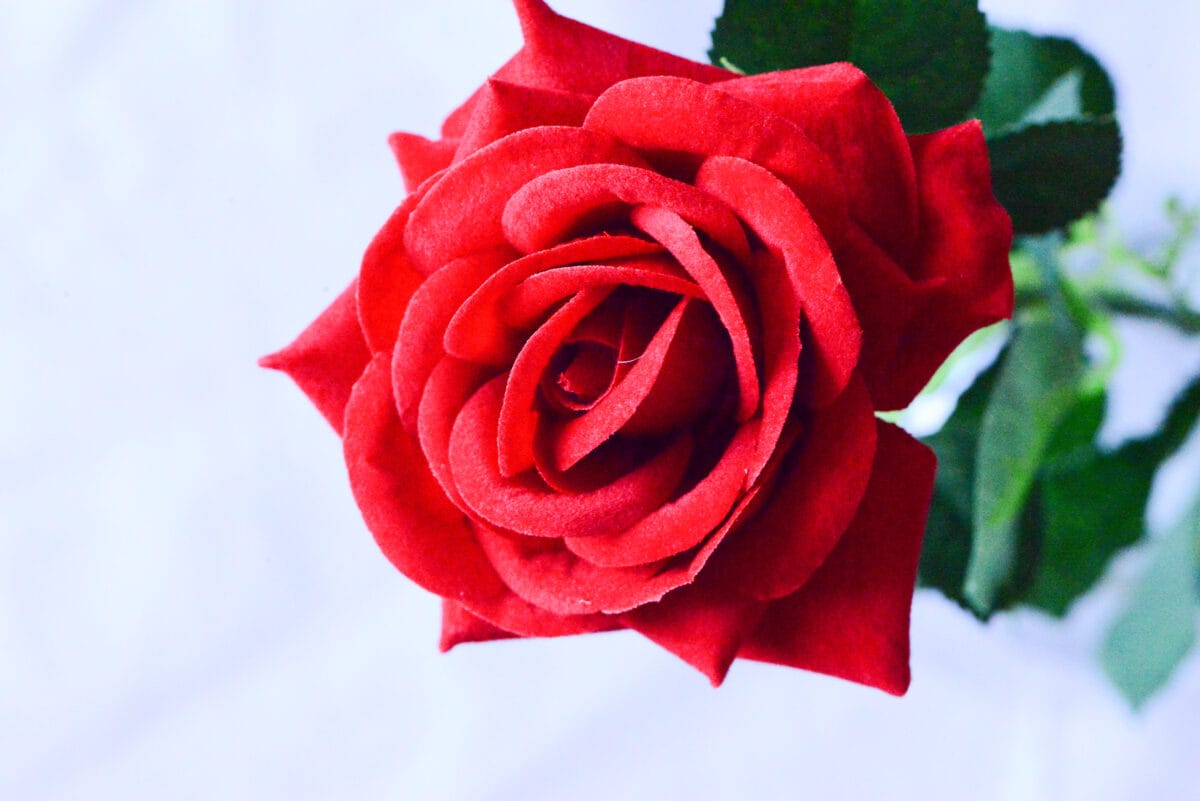 【ダイソー】造花のおすすめ商品とおしゃれなアレンジを紹介