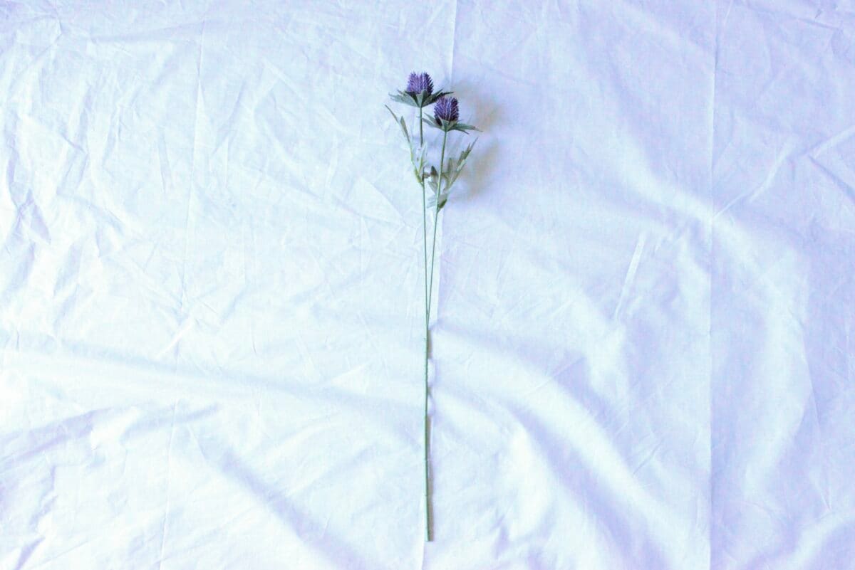 【ダイソー】造花のおすすめ商品とおしゃれなアレンジを紹介