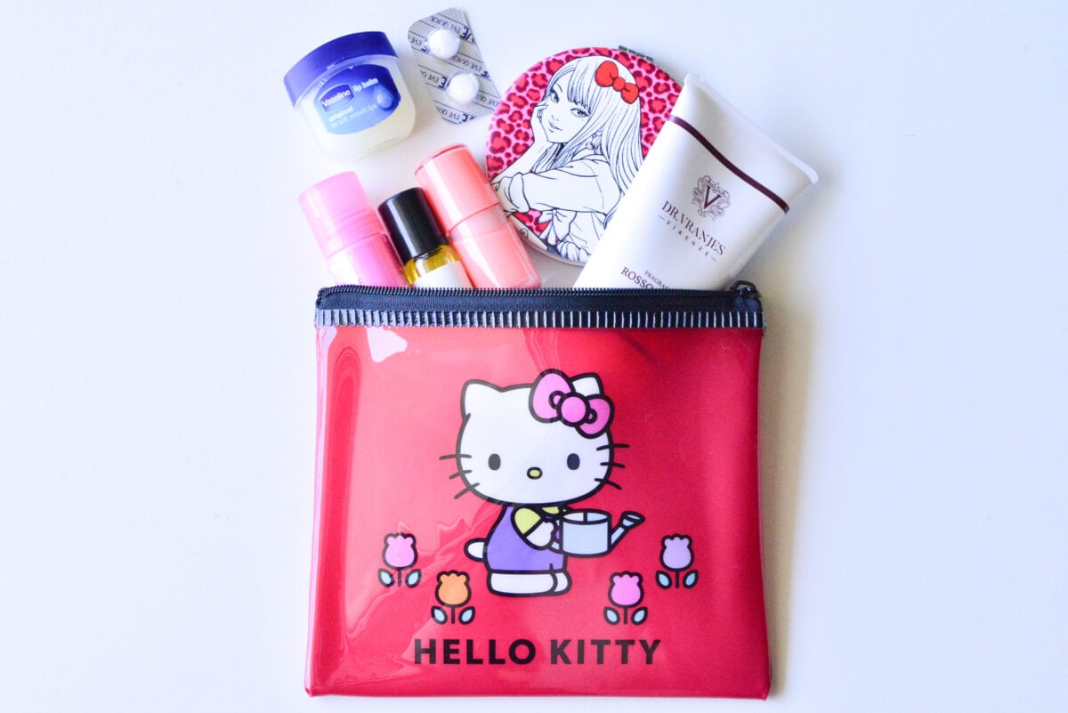 ダイソーのポーチが優秀すぎる!今すぐ使いたい6商品を紹介