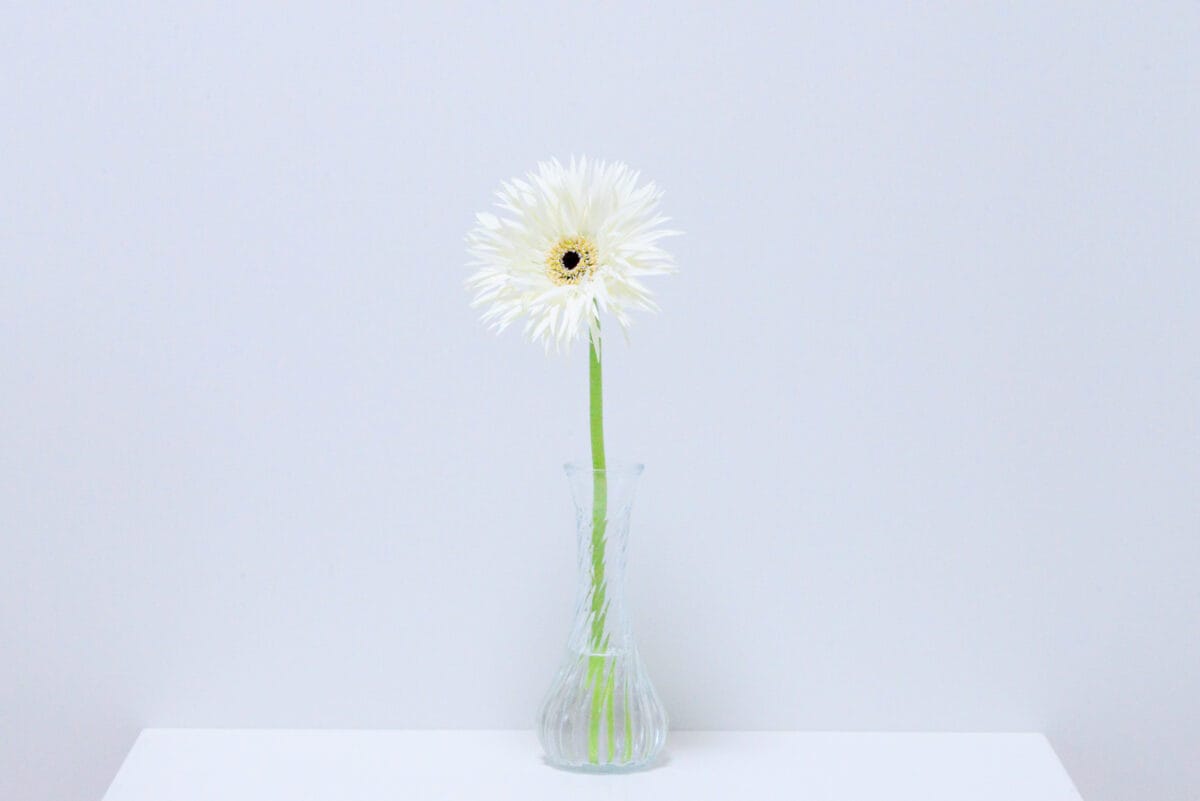 セリアの花瓶おすすめ6選｜大きめのものやおしゃれな一輪挿しも紹介