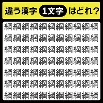 「綱の中に隠れてるのは？」漢字間違い探しで脳トレしよう！【毎日脳トレ】【クイズ】