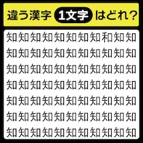 「知の中に隠れてるのは？」漢字間違い探しで脳トレしよう！【毎日脳トレ】【クイズ】