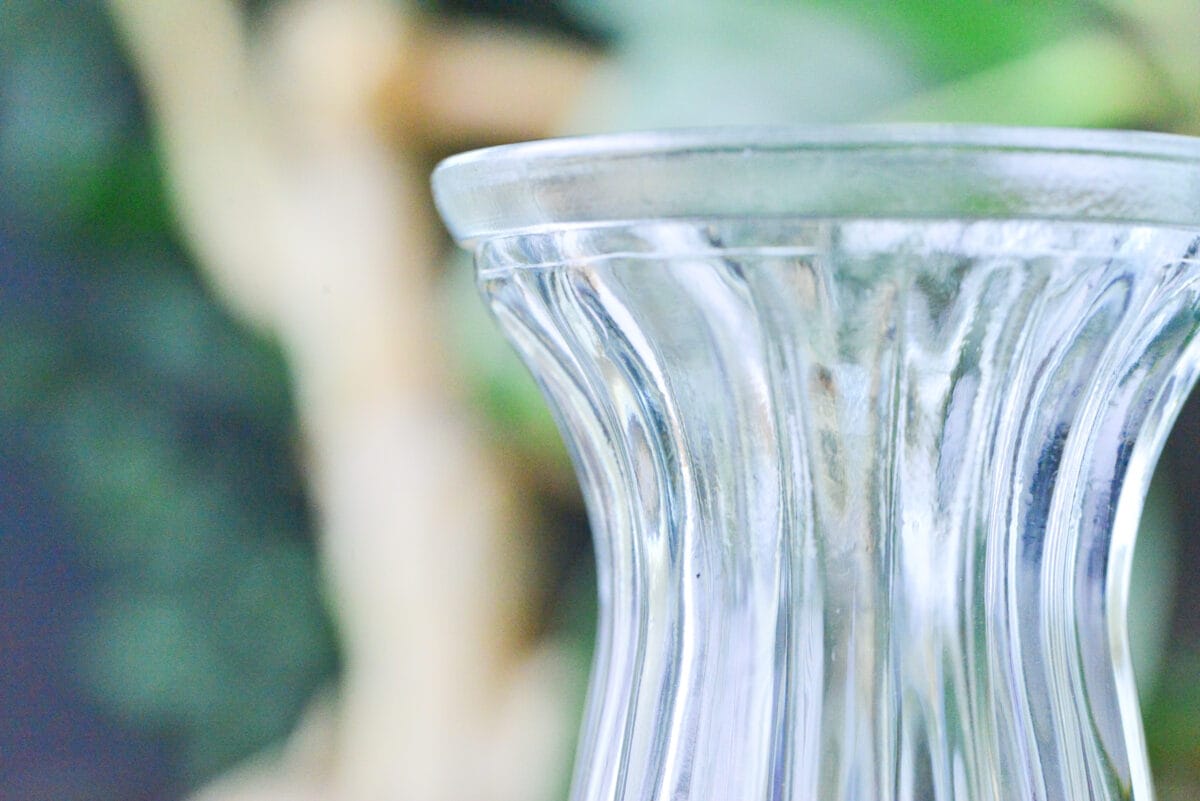 セリアの花瓶おすすめ6選|大きめのものやおしゃれな一輪挿しも紹介