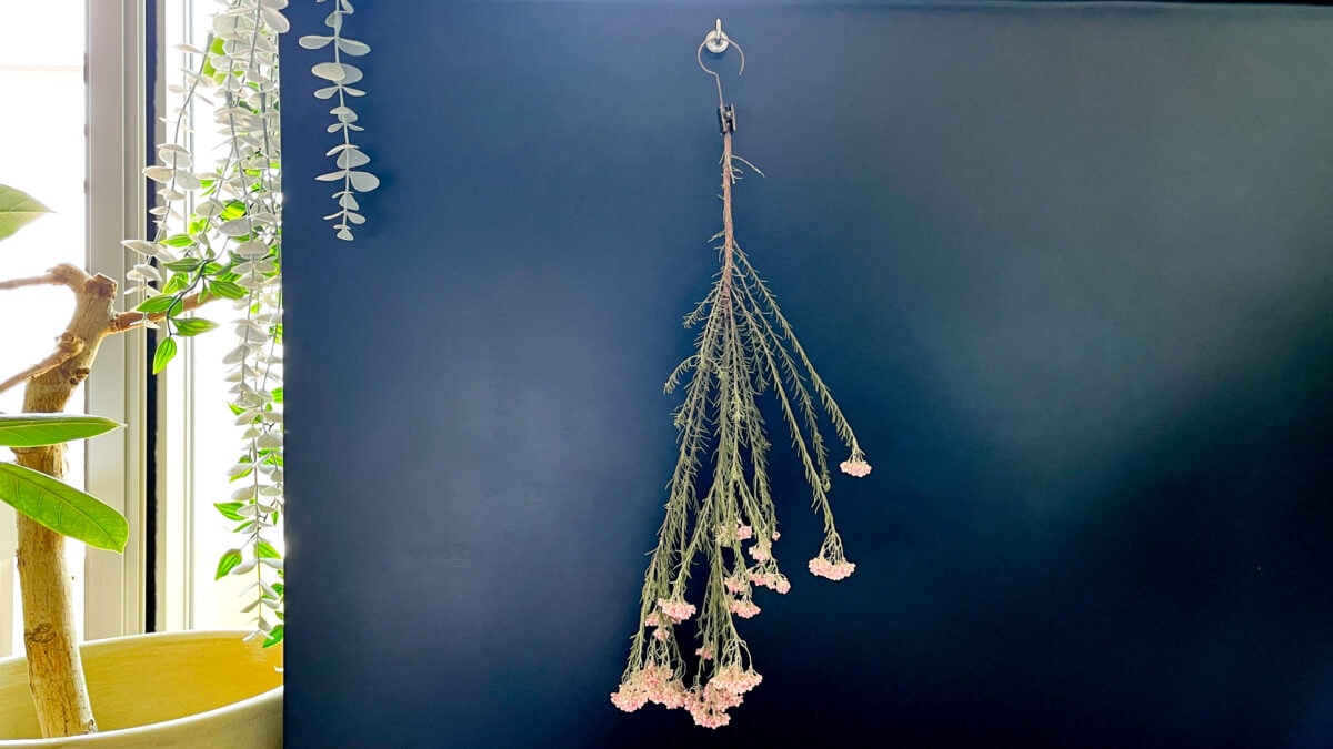 セリアのマグネットが優秀！超強力タイプやシートなど便利な5商品を紹介