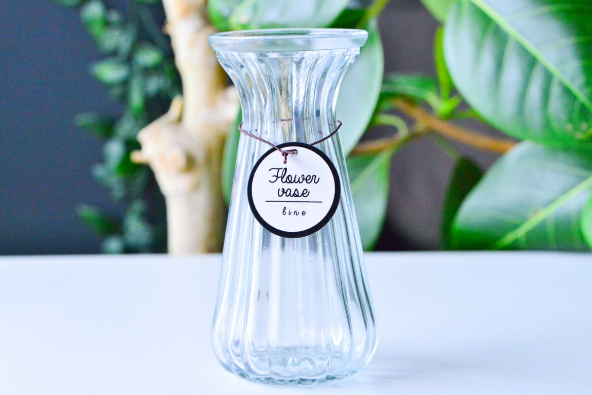 セリアの花瓶おすすめ6選|大きめのものやおしゃれな一輪挿しも紹介