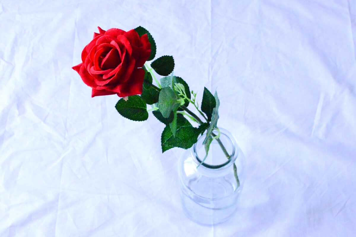 【ダイソー】造花のおすすめ商品とおしゃれなアレンジを紹介