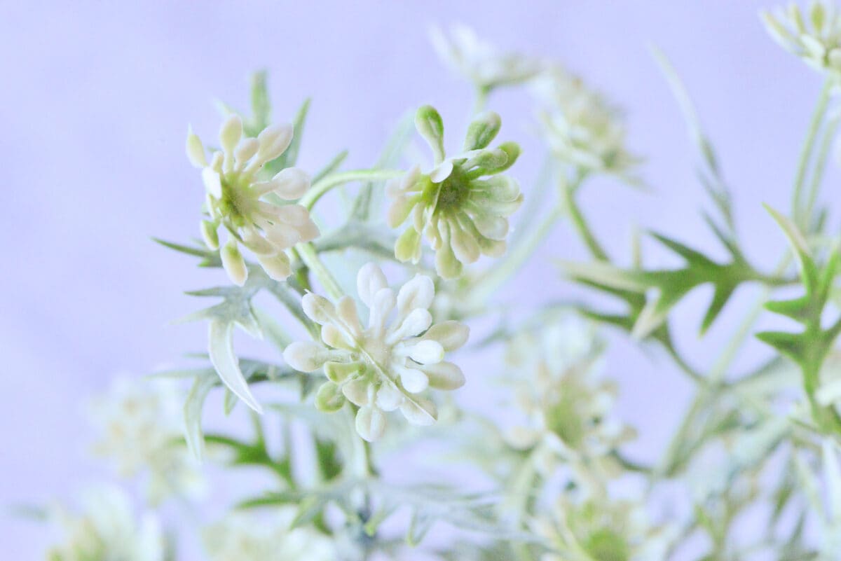 【ダイソー】造花のおすすめ商品とおしゃれなアレンジを紹介