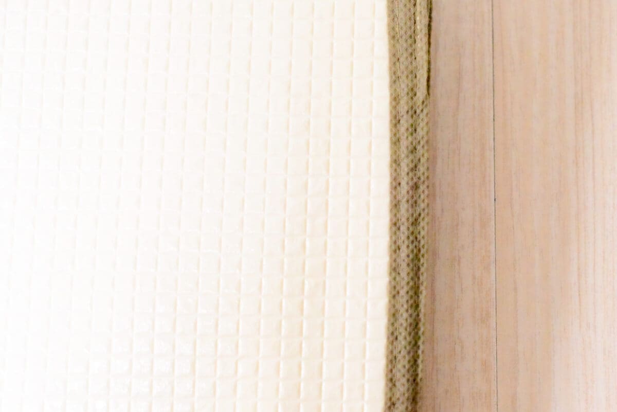 【2025】セリアのエコバッグおすすめ7選！大きめや便利な商品を紹介