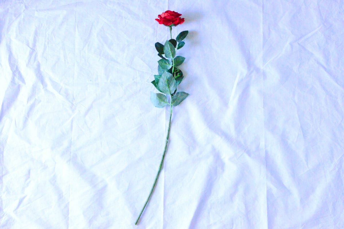 【ダイソー】造花のおすすめ商品とおしゃれなアレンジを紹介