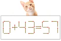【マッチ棒パズル】正しい式にしよう！「0+43=57」【毎日脳トレ】