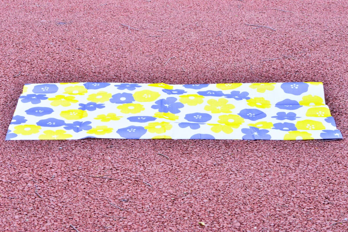 100均のレジャーシート10選！おしゃれなおすすめ商品を紹介