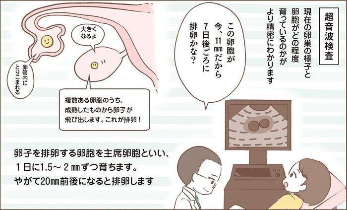 「数値」と超音波で自分の体の情報がわかる！不妊治療クリニック受診ガイドSTEP・1【女性が受ける検査編】