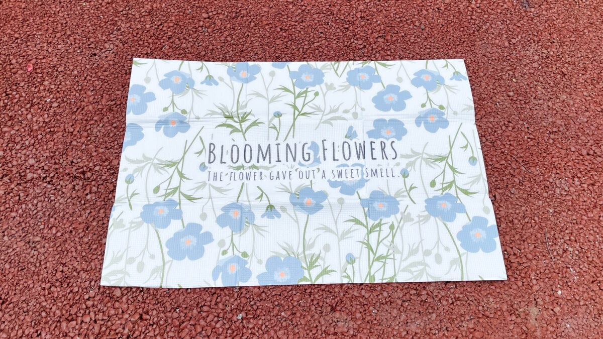 100均のレジャーシート10選！おしゃれなおすすめ商品を紹介