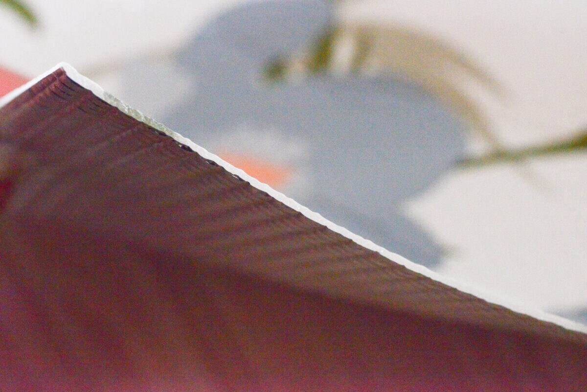 100均のレジャーシート10選！おしゃれなおすすめ商品を紹介