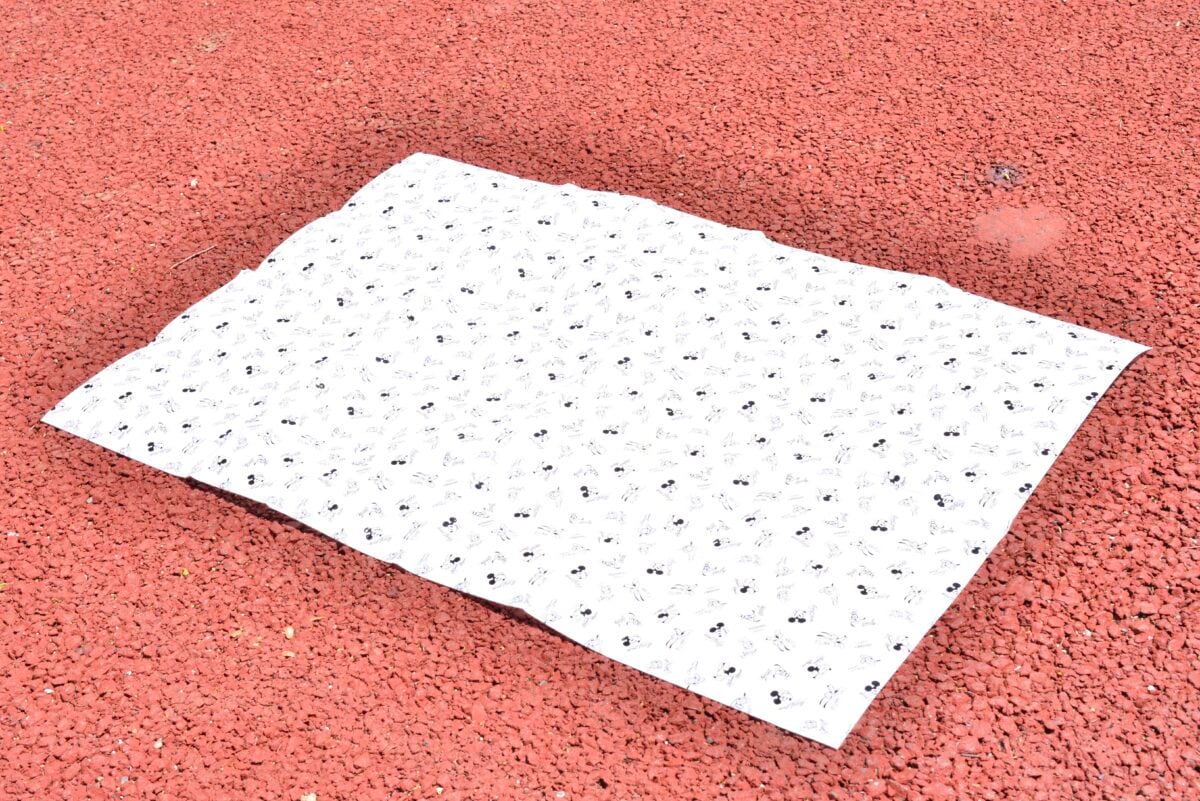 100均のレジャーシート10選!おしゃれなおすすめ商品を紹介