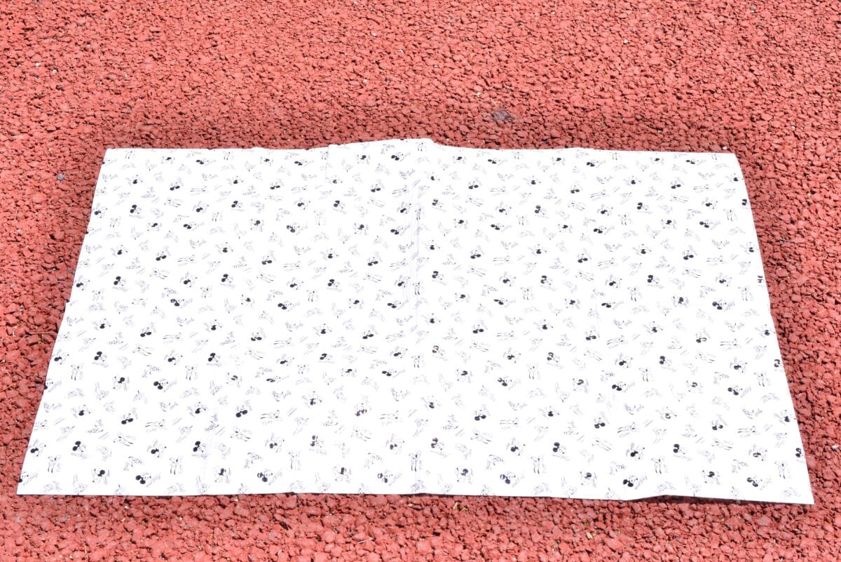 100均のレジャーシート10選!おしゃれなおすすめ商品を紹介