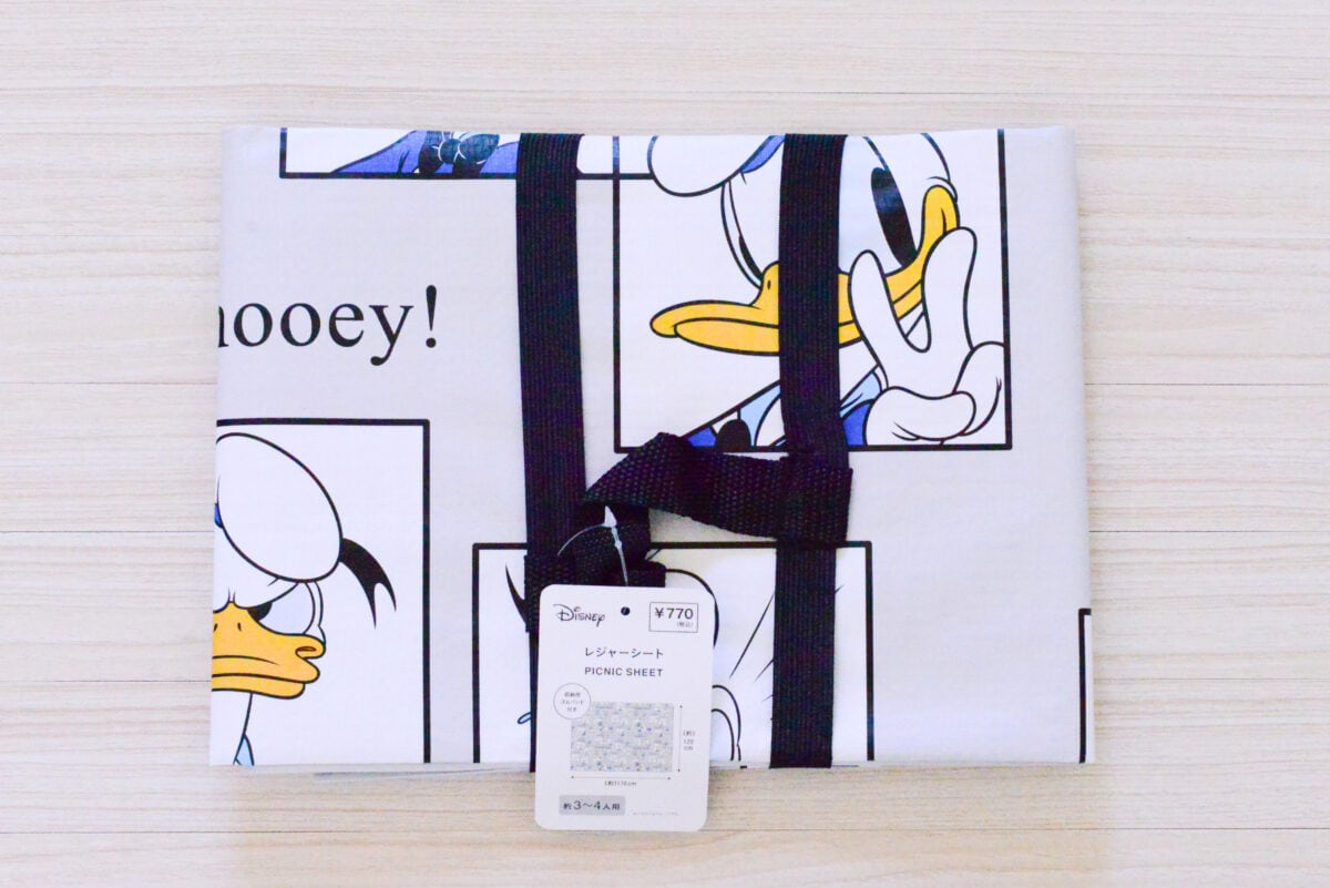 100均のレジャーシート10選！おしゃれなおすすめ商品を紹介