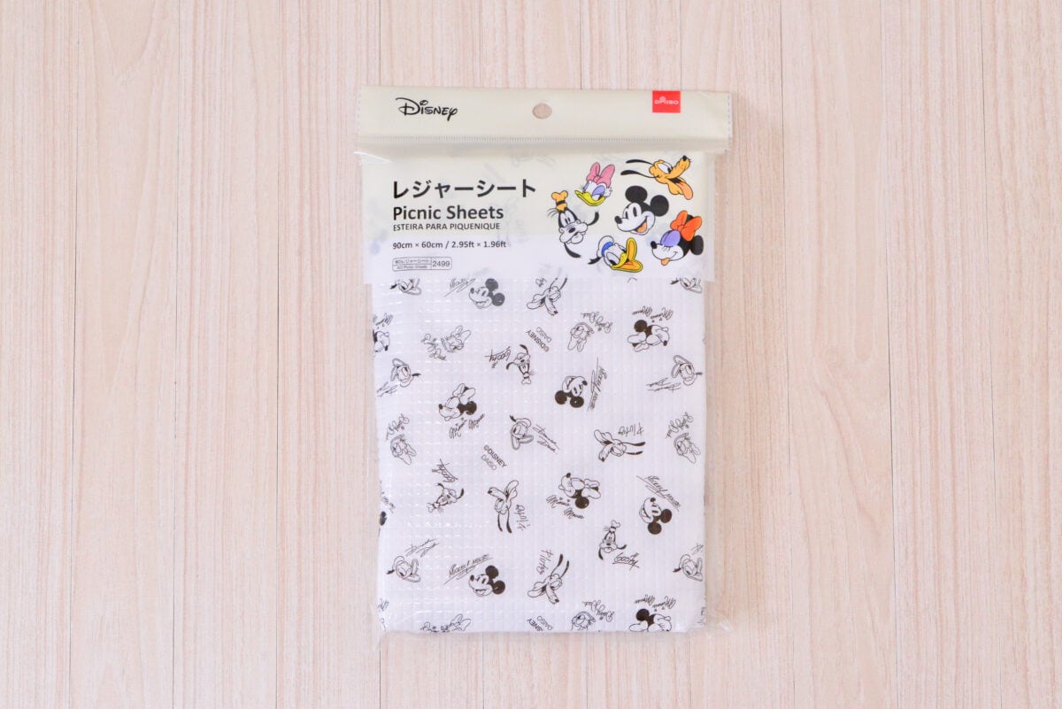 100均のレジャーシート10選!おしゃれなおすすめ商品を紹介