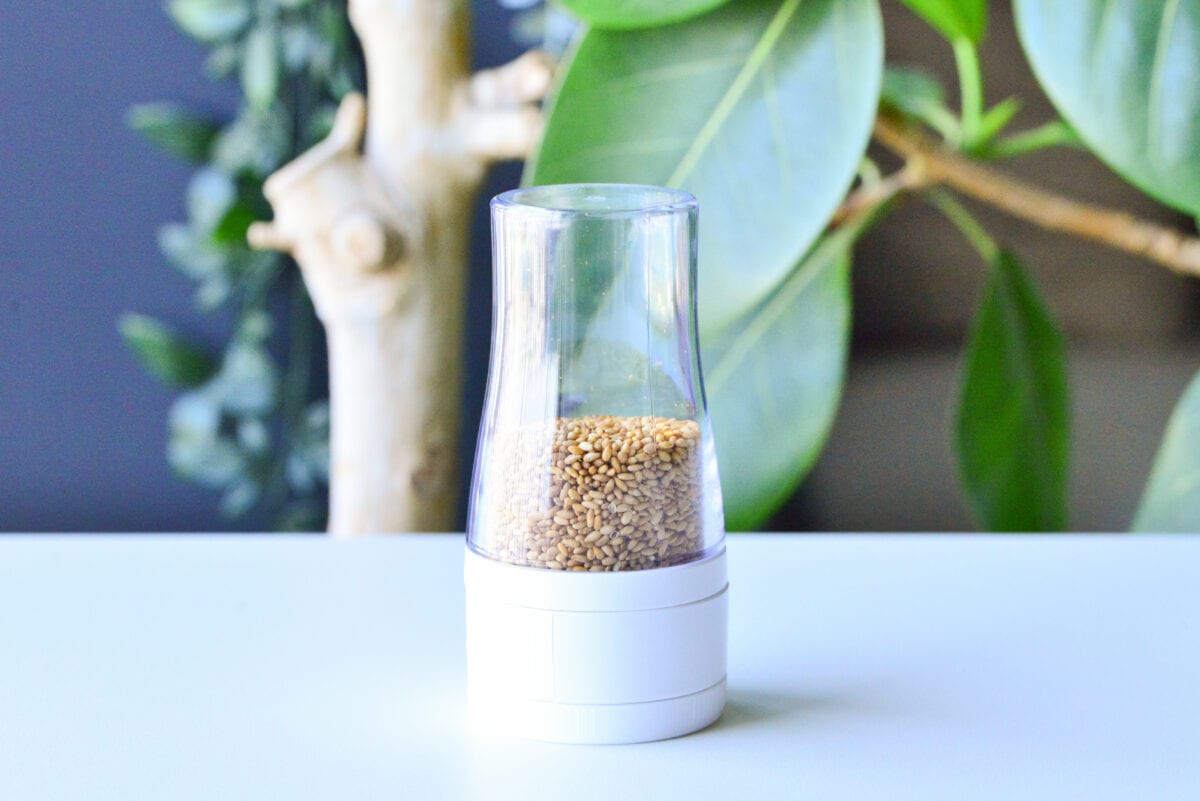 ダイソーの調味料入れがおすすめ!便利なワンタッチやキャンプ用も紹介