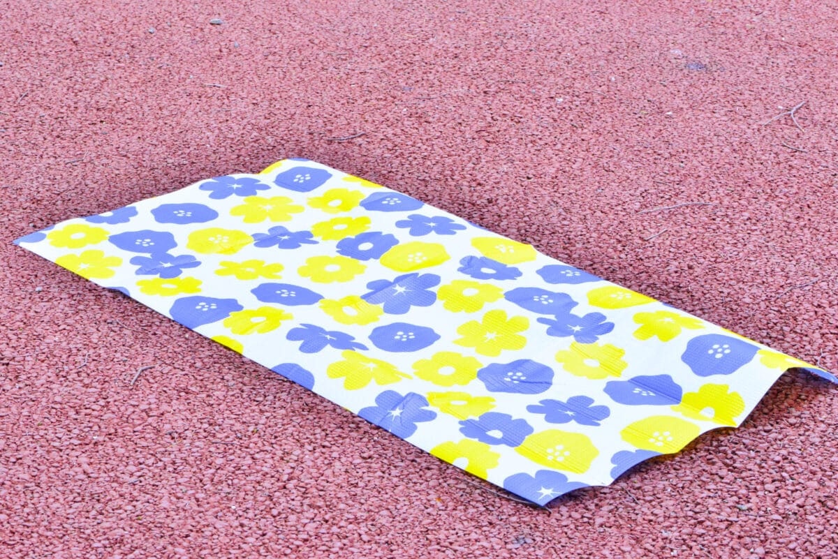 100均のレジャーシート10選！おしゃれなおすすめ商品を紹介