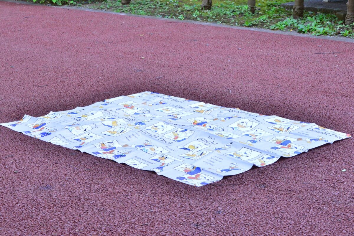 100均のレジャーシート10選！おしゃれなおすすめ商品を紹介