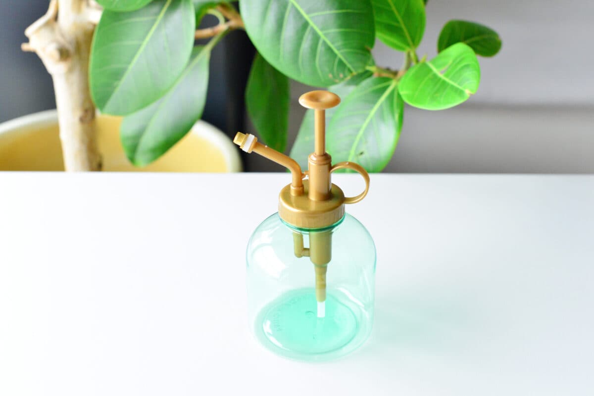 ダイソーのスプレーボトルおすすめ5選|園芸用やスキンケア用などを厳選