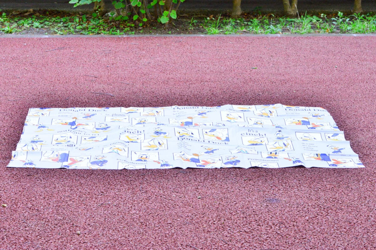 100均のレジャーシート10選！おしゃれなおすすめ商品を紹介