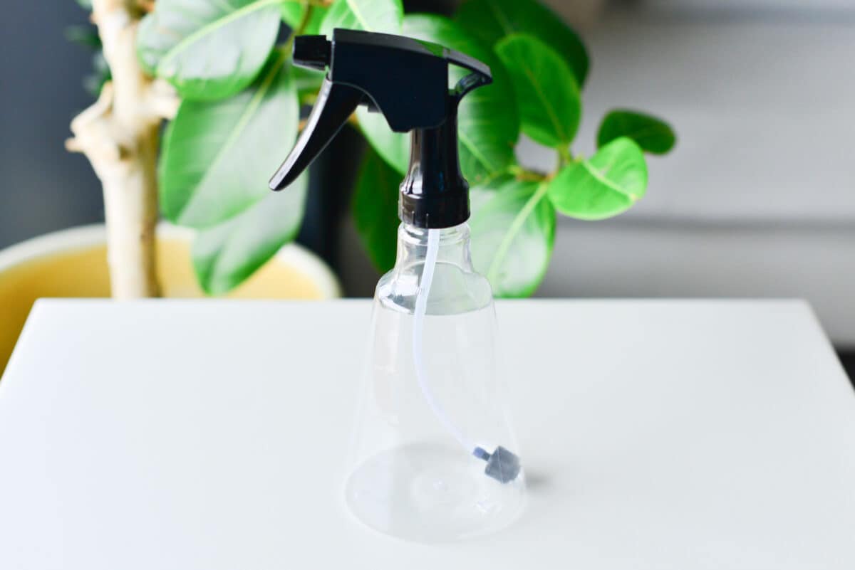 ダイソーのスプレーボトルおすすめ5選|園芸用やスキンケア用などを厳選