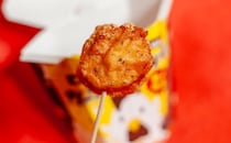 「飛ぶぞ」「たまんねぇ美味さ」絶賛されている『からあげクン』を食べてみた