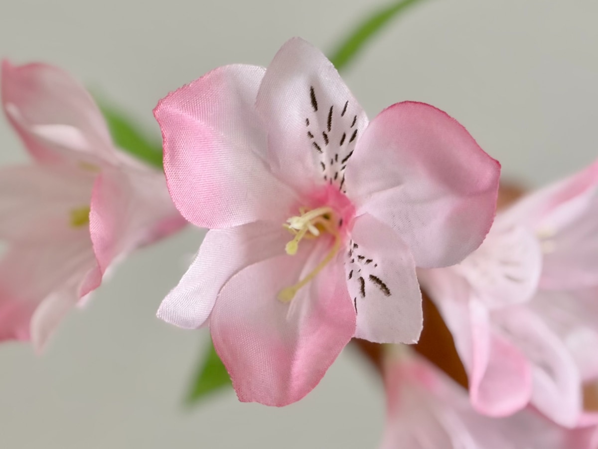 セリアのおすすめ造花10選!高見えでインテリアにもぴったり