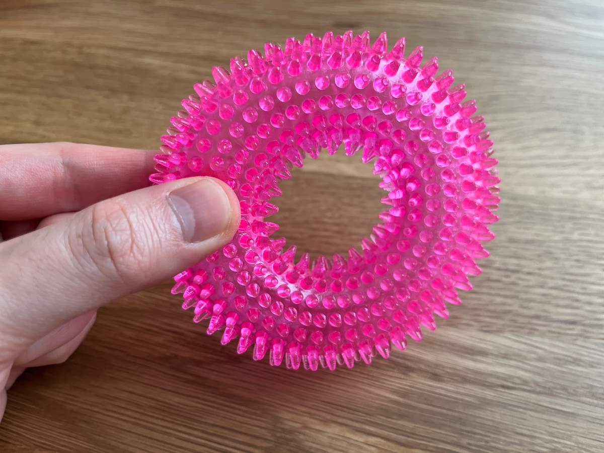 犬猫も喜ぶ!「音が出るペット玩具」