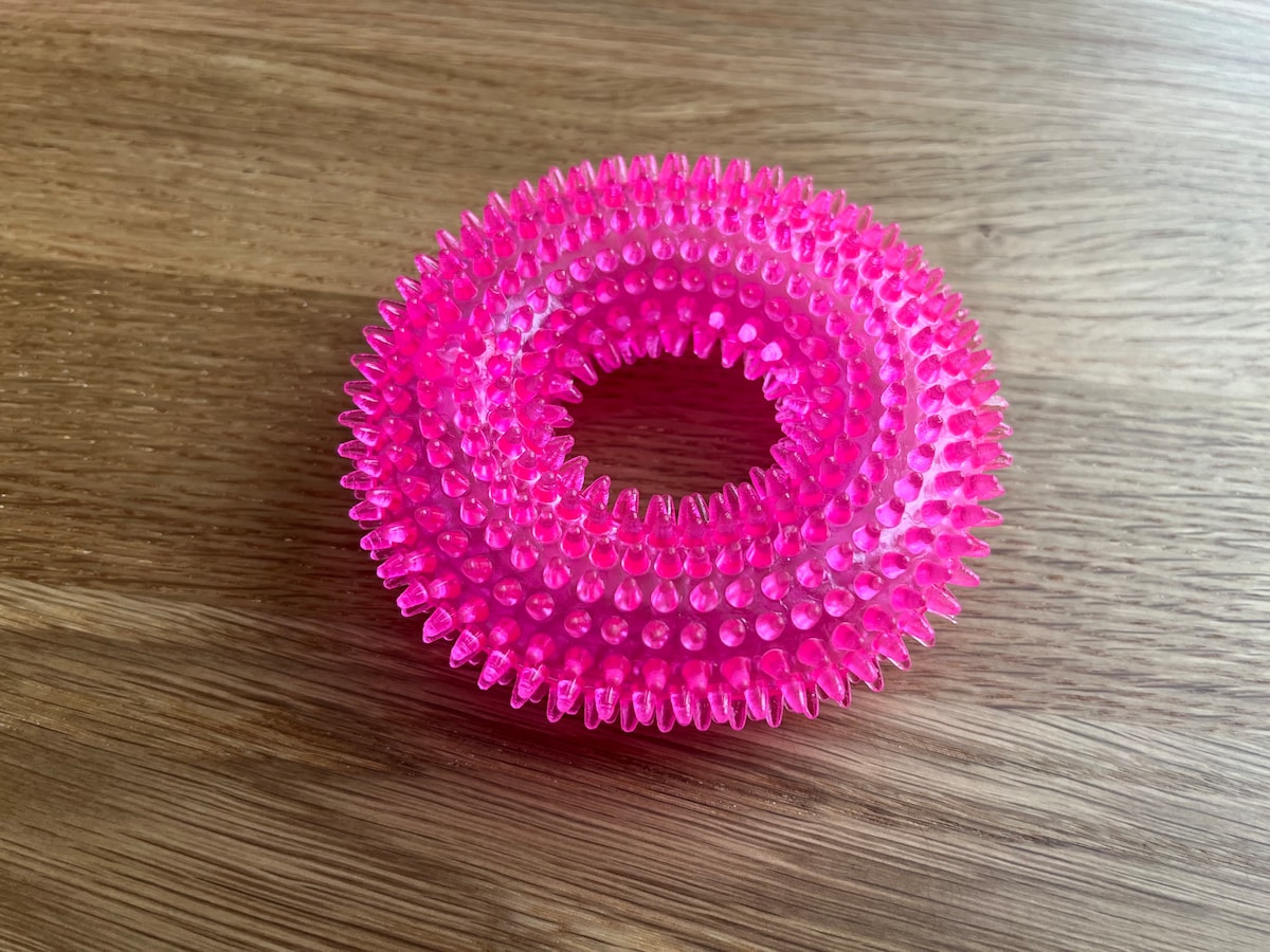 犬猫も喜ぶ!「音が出るペット玩具」