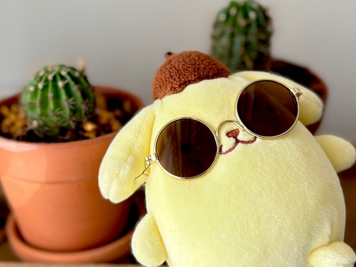 【セリア】サングラスが超優秀♡定番の黒やハート型まで|売り場も紹介