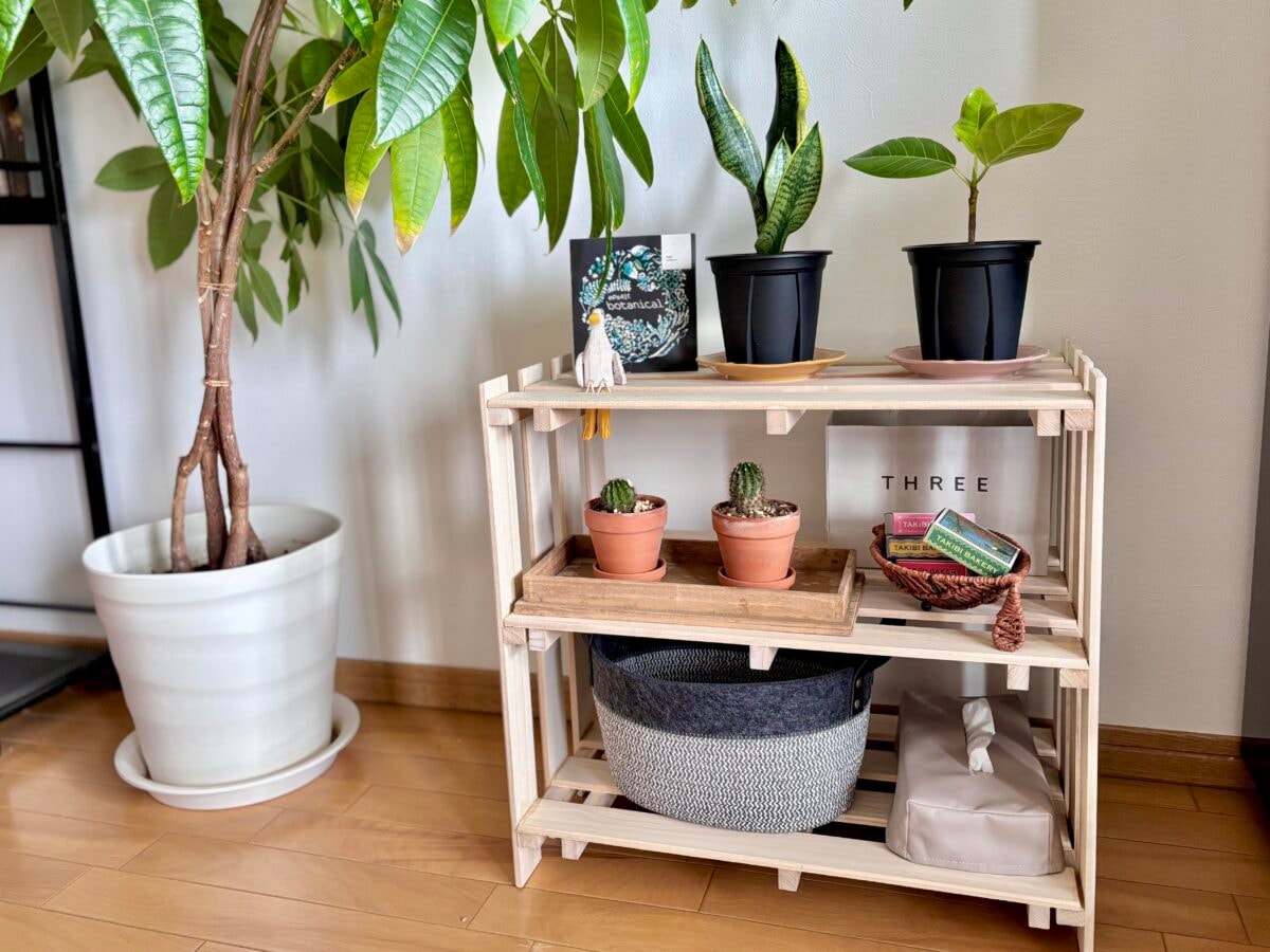 【ダイソー】すのこで棚diyしてみた!サイズや作り方も紹介