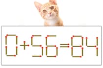 【マッチ棒パズル】正しい式にしよう！「0+56=84」【毎日脳トレ】