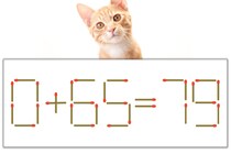 【マッチ棒パズル】正しい式にしよう！「0+65=79」【毎日脳トレ】