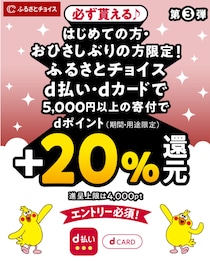 ふるさと納税は「ふるさとチョイス」で！初利用でdポイント20％を還元