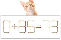 【マッチ棒パズル】正しい式にしよう！「0+85=73」【毎日脳トレ】