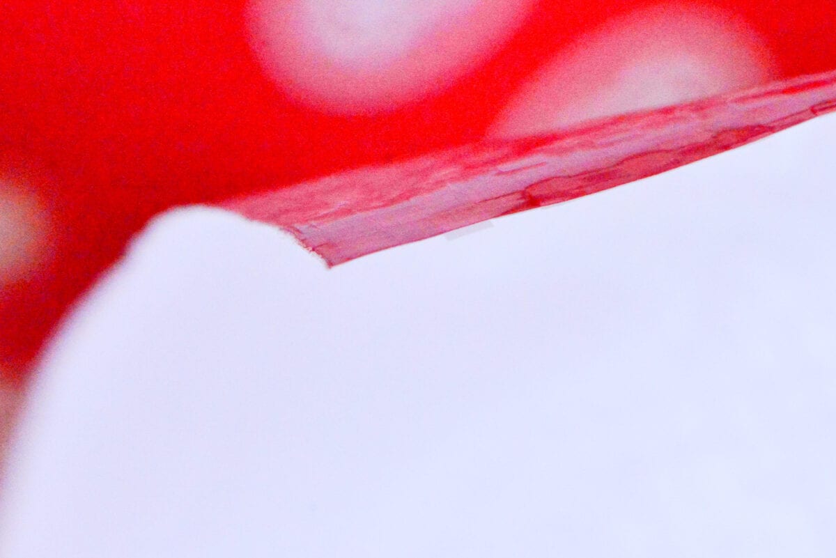 キャンドゥのレジャーシートおすすめ7選！厚手のものや大きいものも紹介