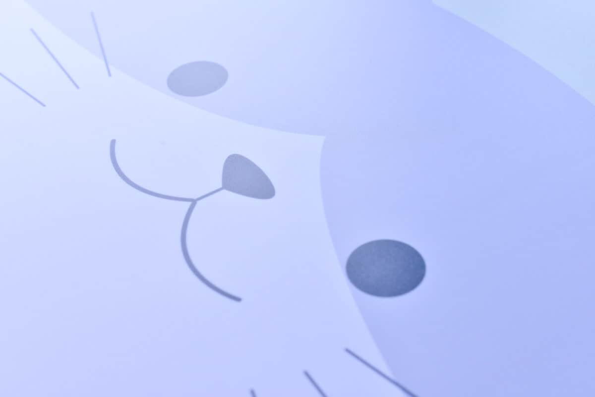 ダイソーのランチョンマットおすすめ6選