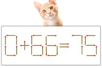 【マッチ棒パズル】正しい式にしよう！「0+66=75」【毎日脳トレ】