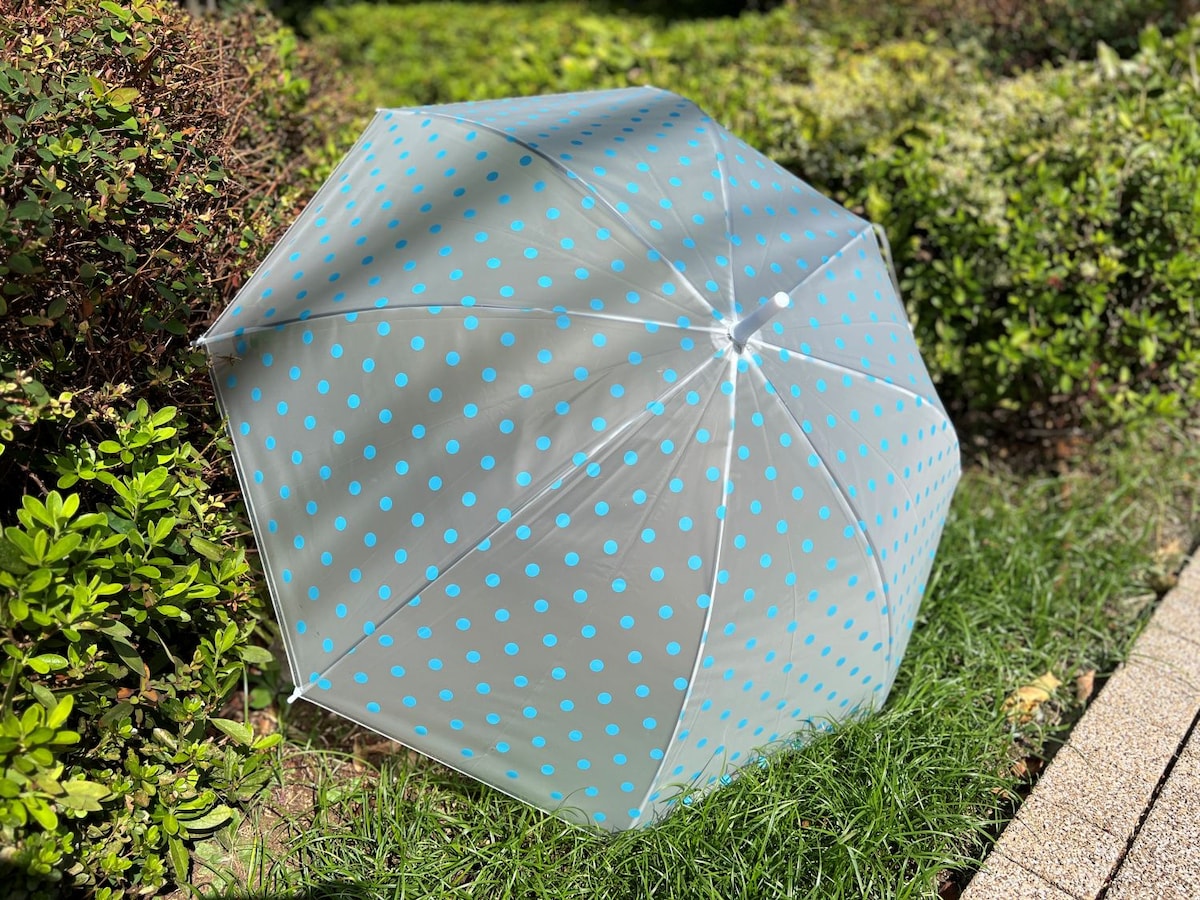 ダイソーの傘が激かわで惚れた♡買って良かったおすすめ紹介【2025年】