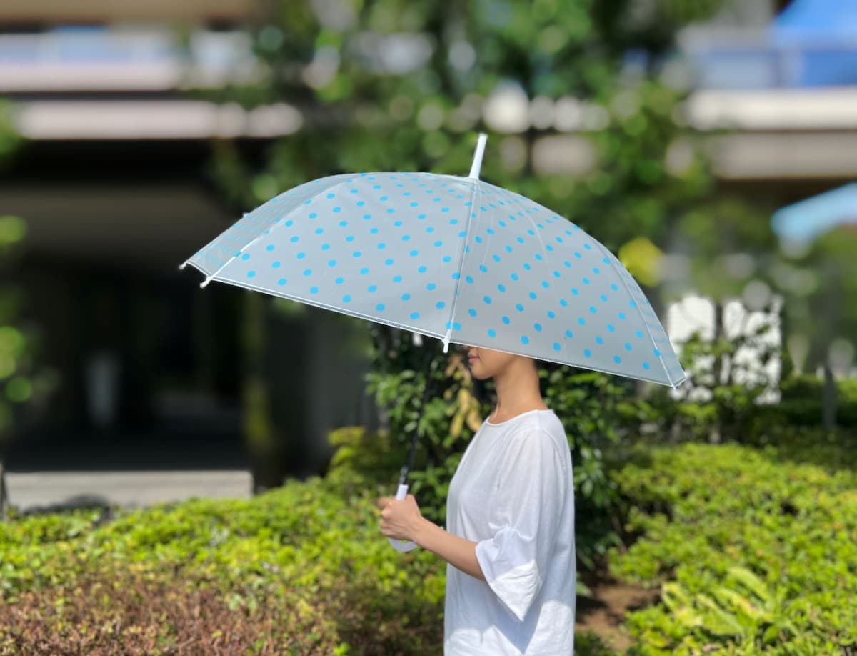 ダイソーの傘が激かわで惚れた♡買って良かったおすすめ紹介【2025年】