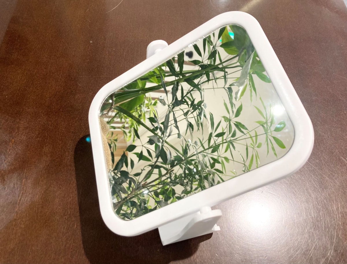 これ200円は神すぎる【ダイソー】鏡のおすすめ5選!購入レビュー