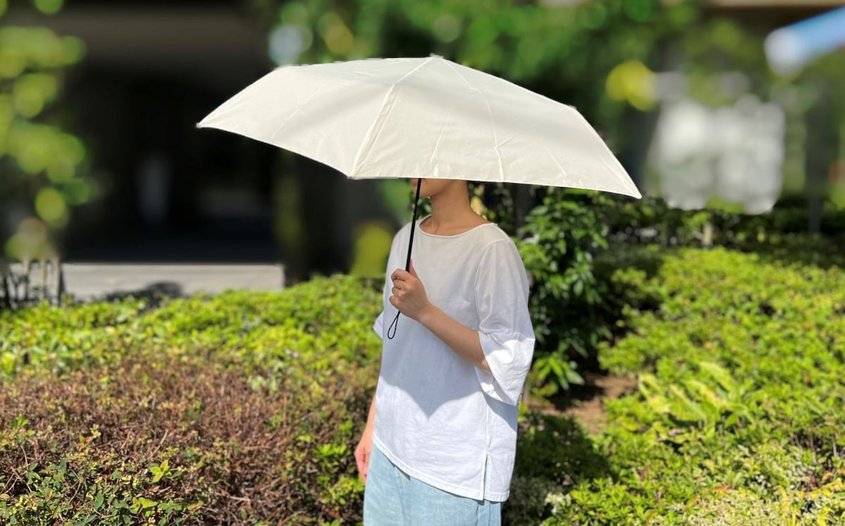 ダイソーの傘が激かわで惚れた♡買って良かったおすすめ紹介【2025年】