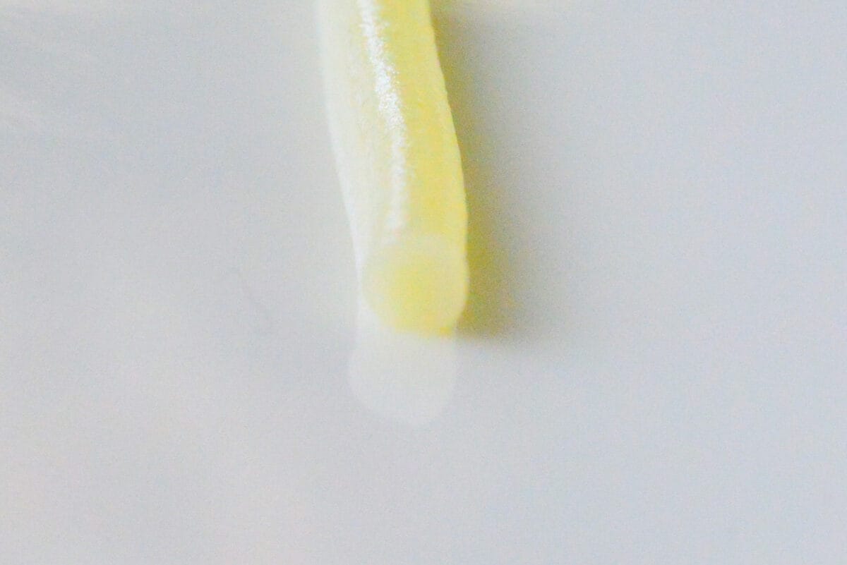 超便利！【ダイソー】の電子レンジ調理器（パスタ）をレビュー